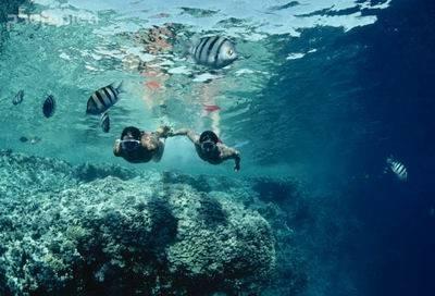 海盗的寻宝之旅