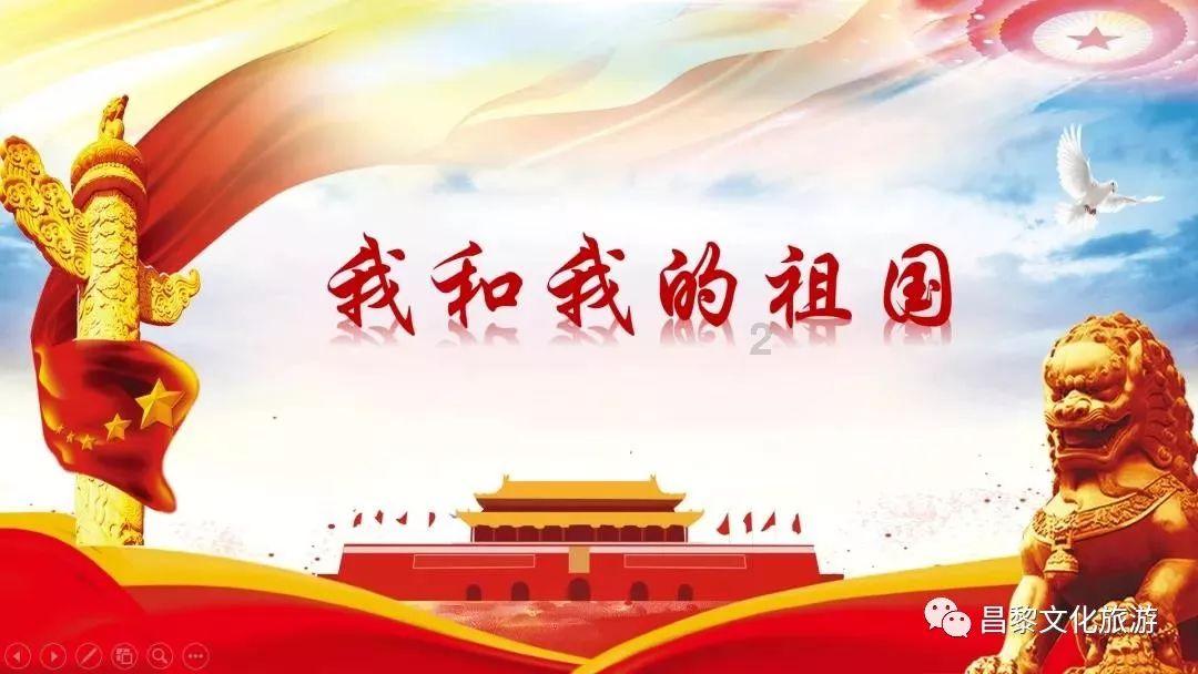 拯救受伤的猫